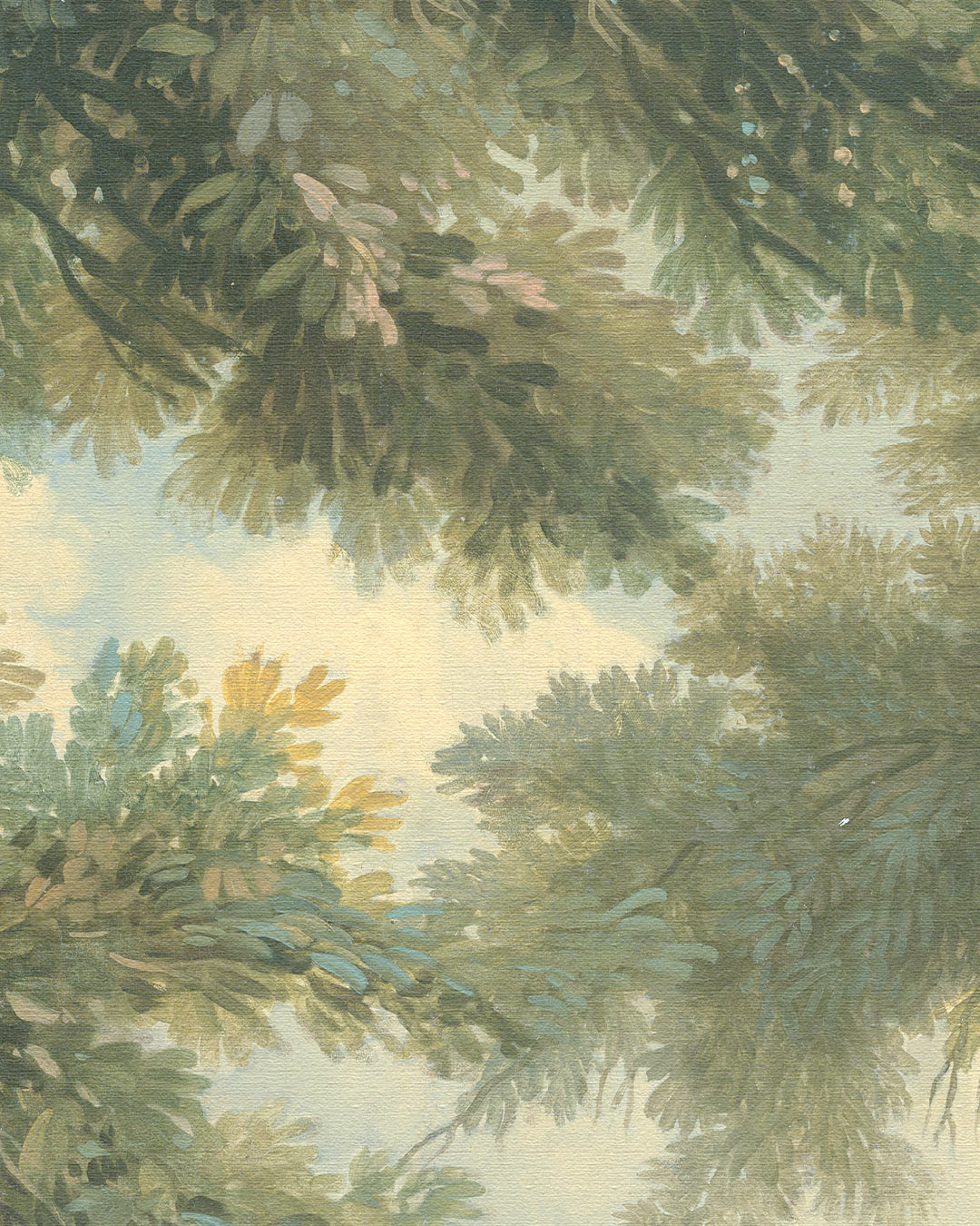 Arcadia