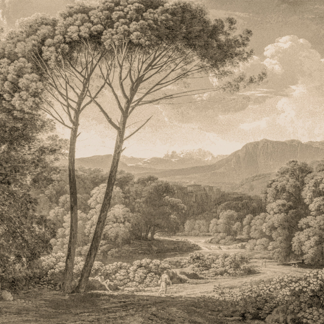 Roma sepia
