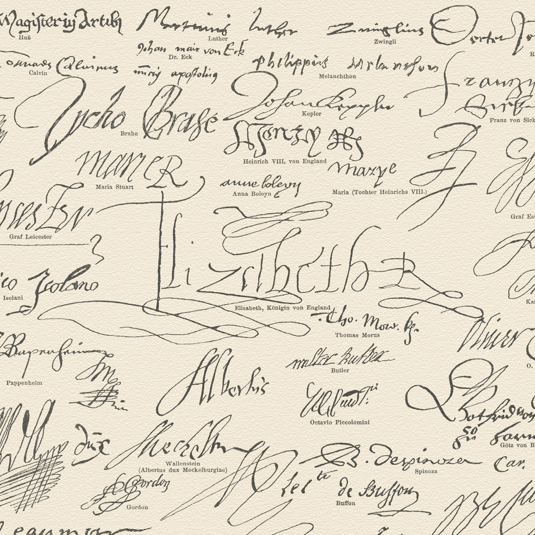 Firmas