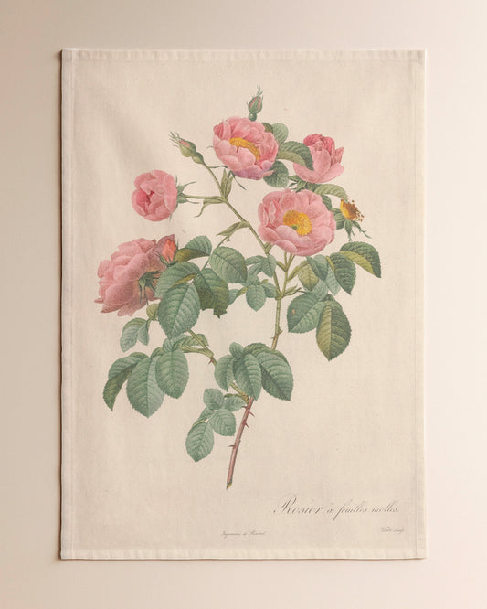 Repasador Rosa Mediana