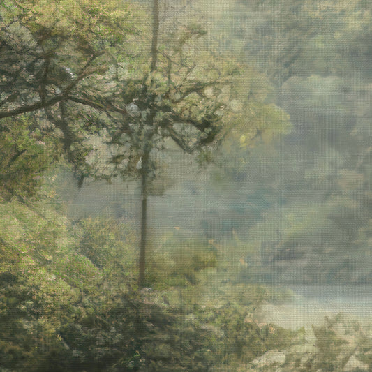 Bosque
