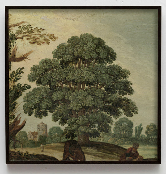 Árbol