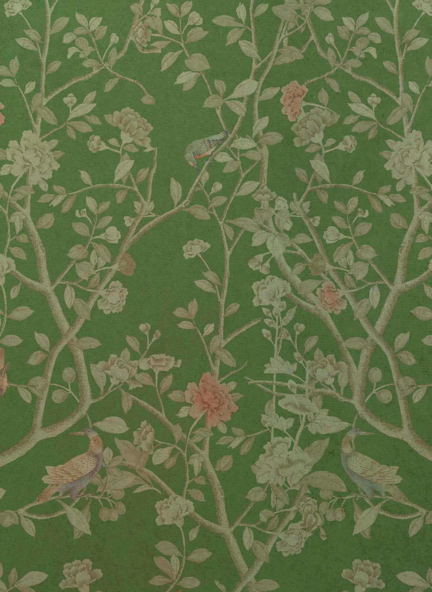 Primavera