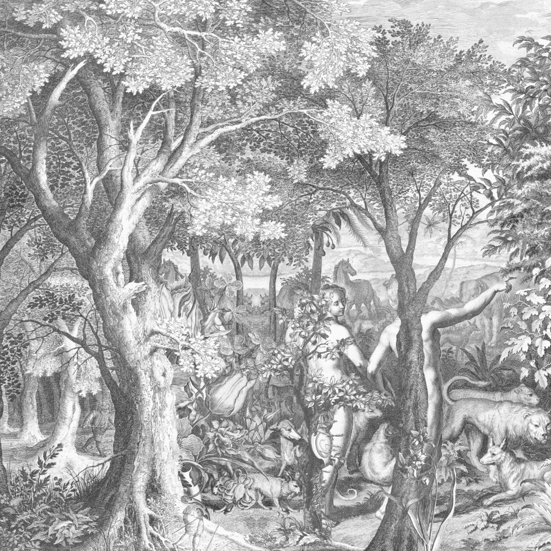 Paraíso negro