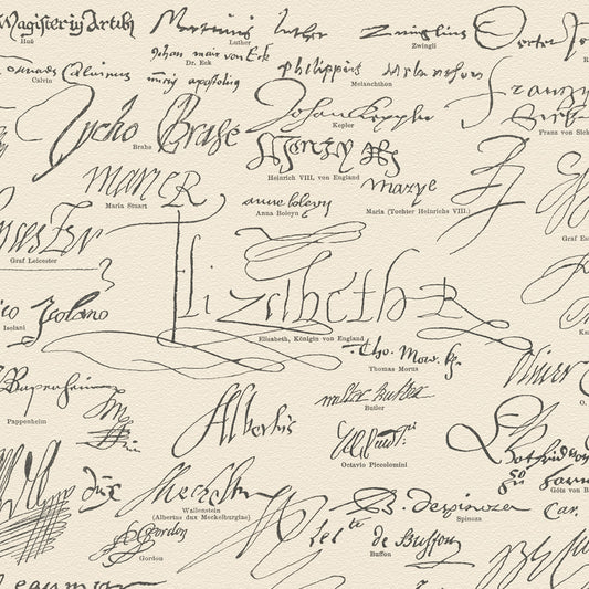 Firmas