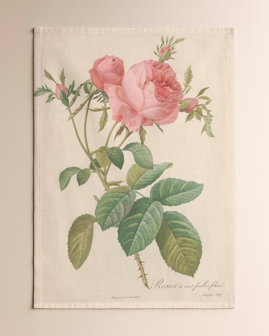 Repasador Rosa Grande